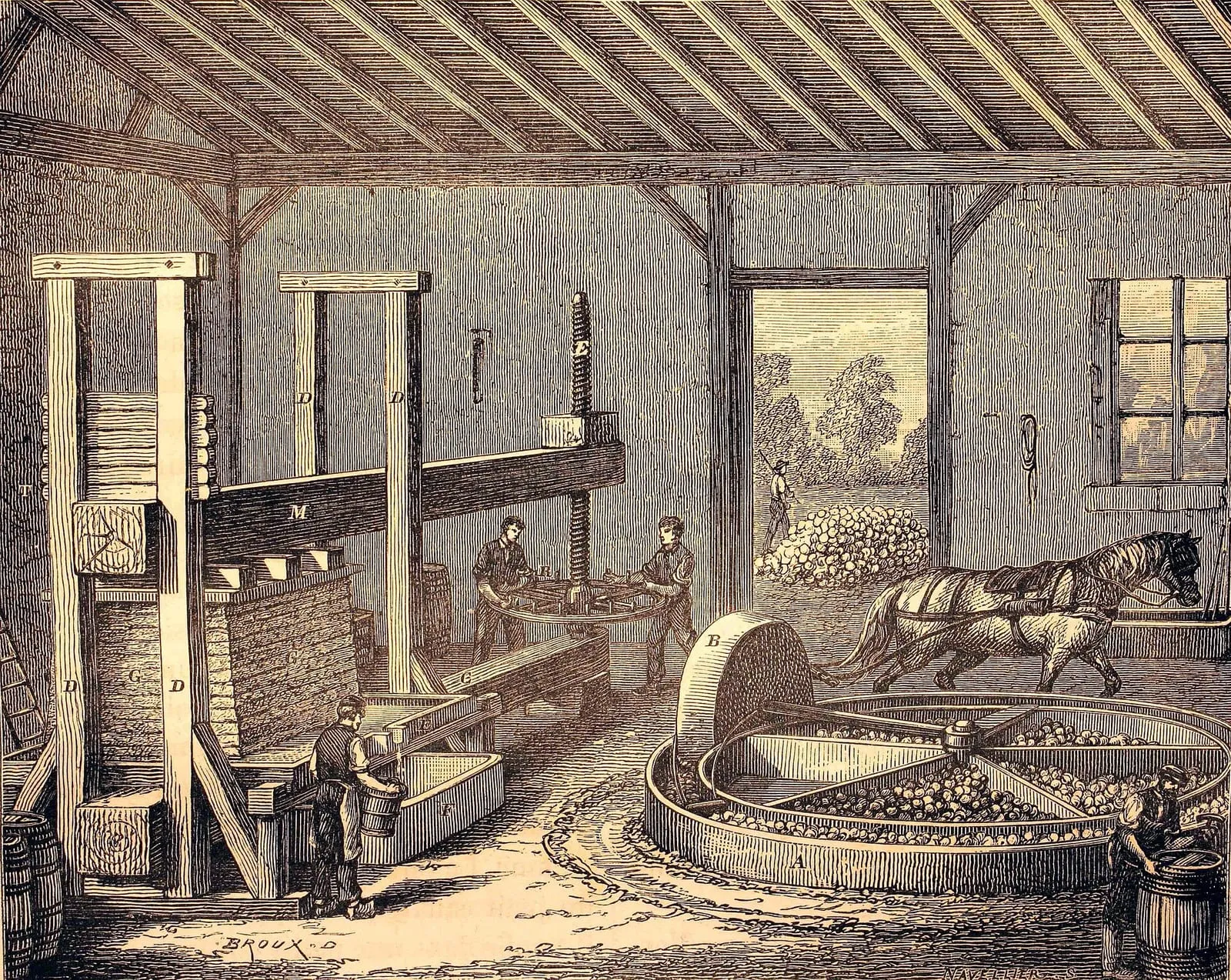 Un pressoir à cidre du XIXe siècle, planche gravée de 1873