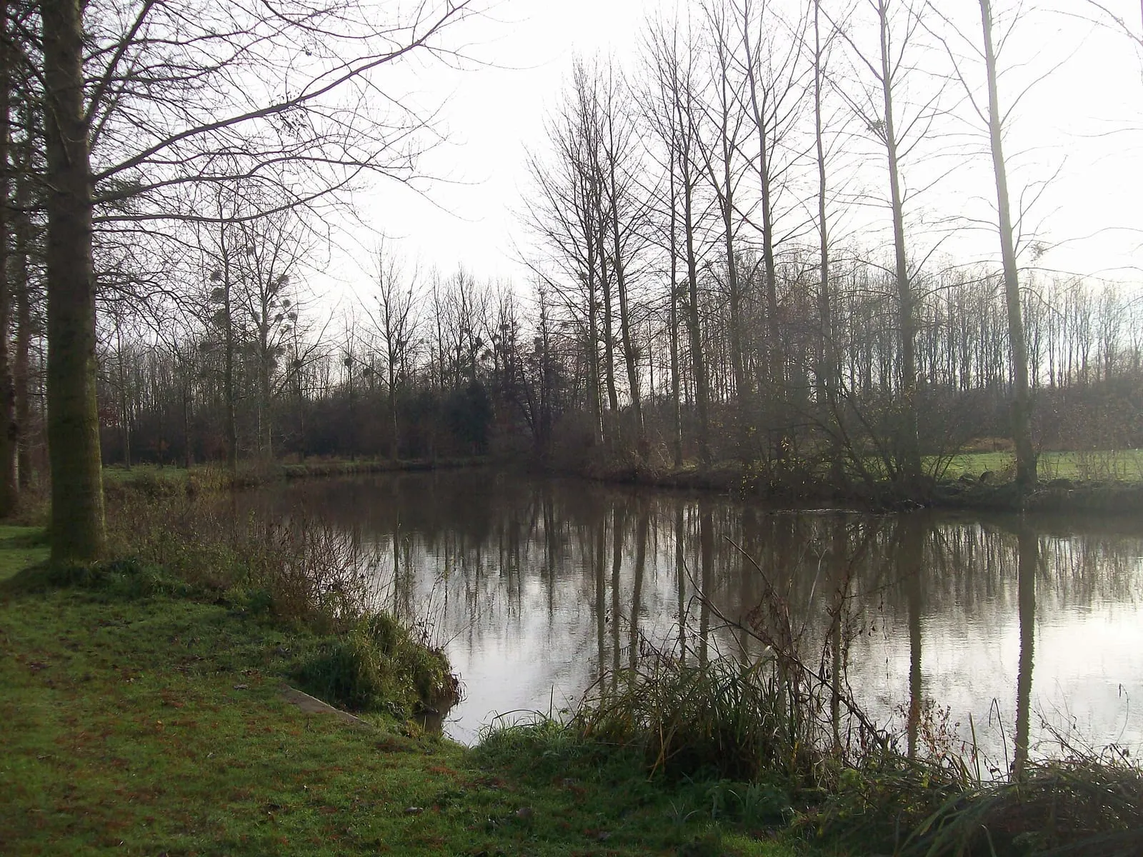 Une courbe de la Seiche vue depuis la berge, dans la vallée de Vern-sur-Seiche