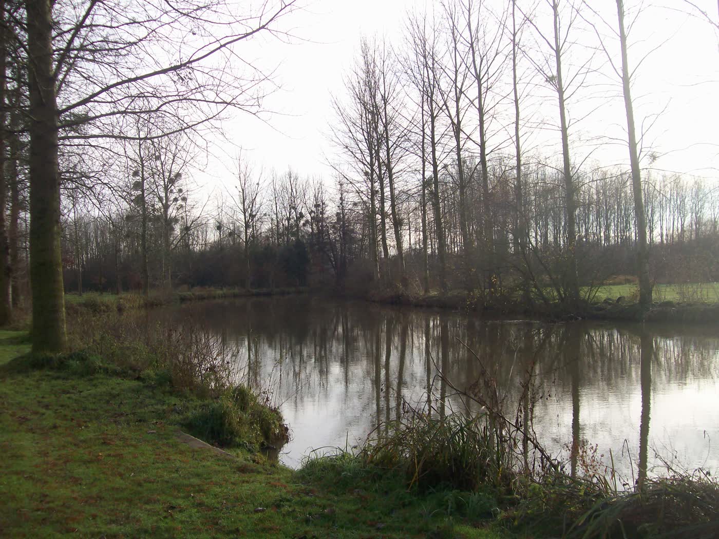 La Seiche dans la vallée, à Vern-sur-Seiche